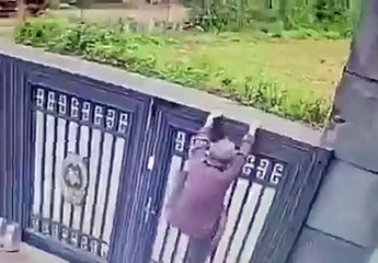 Anciana con Alzheimer escapa de asilo (VIDEO)