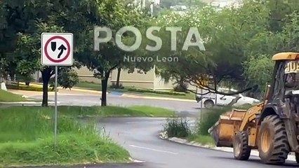 Catean casas en Guadalupe y Monterrey