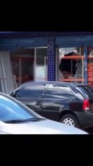 Após cadela morrer, tutor ataca pet shop a marteladas