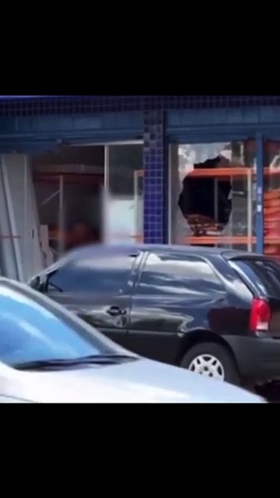 Após cadela morrer, tutor ataca pet shop a marteladas