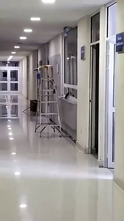 Ratas en el Hospital General de Comondú desata indignación. COEPRIS responde