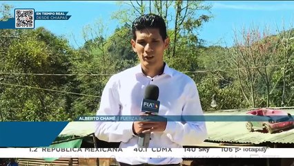 Mueren tres niños por comer pan envenenado en Chiapas