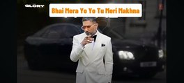 Bhai Mera yo yo Tu Meri Makhna          #payal #yoyohoneysingh #song - 720