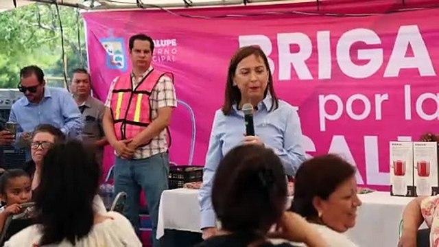 Cuidado de la economía familiar en Guadalupe a través de programas sociales