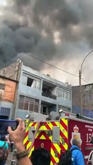 Heroico rescate de un perrito atrapado en un incendio (VIDEO)