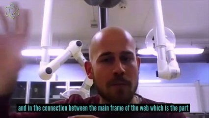 How Do Spiders Capture Big Prey?