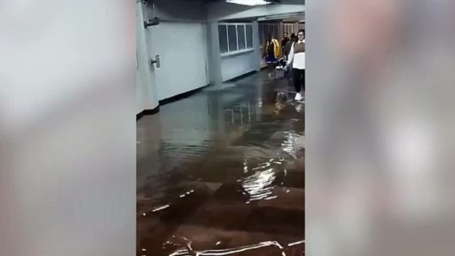 Lluvias dejan árboles caídos, encharcamientos en vialidad y en el metro