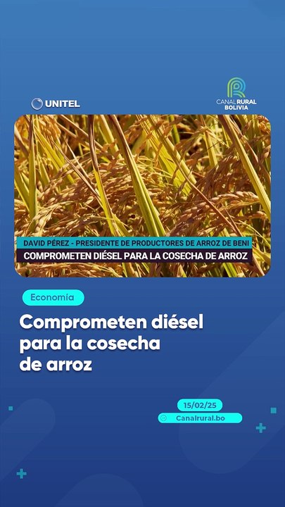 Comprometen diésel para la cosecha de arroz