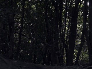 Lily-white | movie | 2021 | Official Trailer