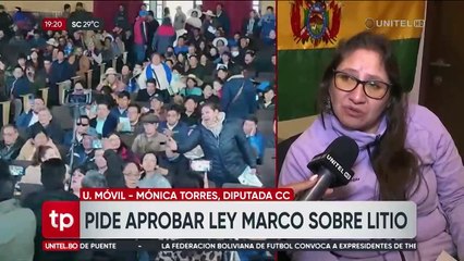 Diputada potosina dice que una ley para regular el litio está “durmiendo” en la Asamblea desde 2023