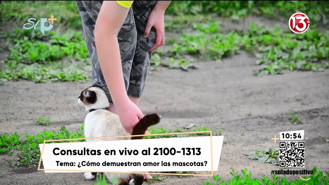 Entrevista - Mascotas como regalo de San Valentín - Amor hacia las mascotas