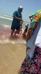 Tiburón ataca a dos personas en la Isla del Padre