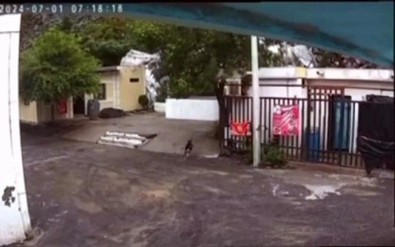 Deslave daña casas en zona del Cerro del Topo Chico en Monterrey