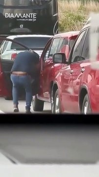 Automovilistas atacados por enjambre de abejas en Chilpancingo (VIDEO)