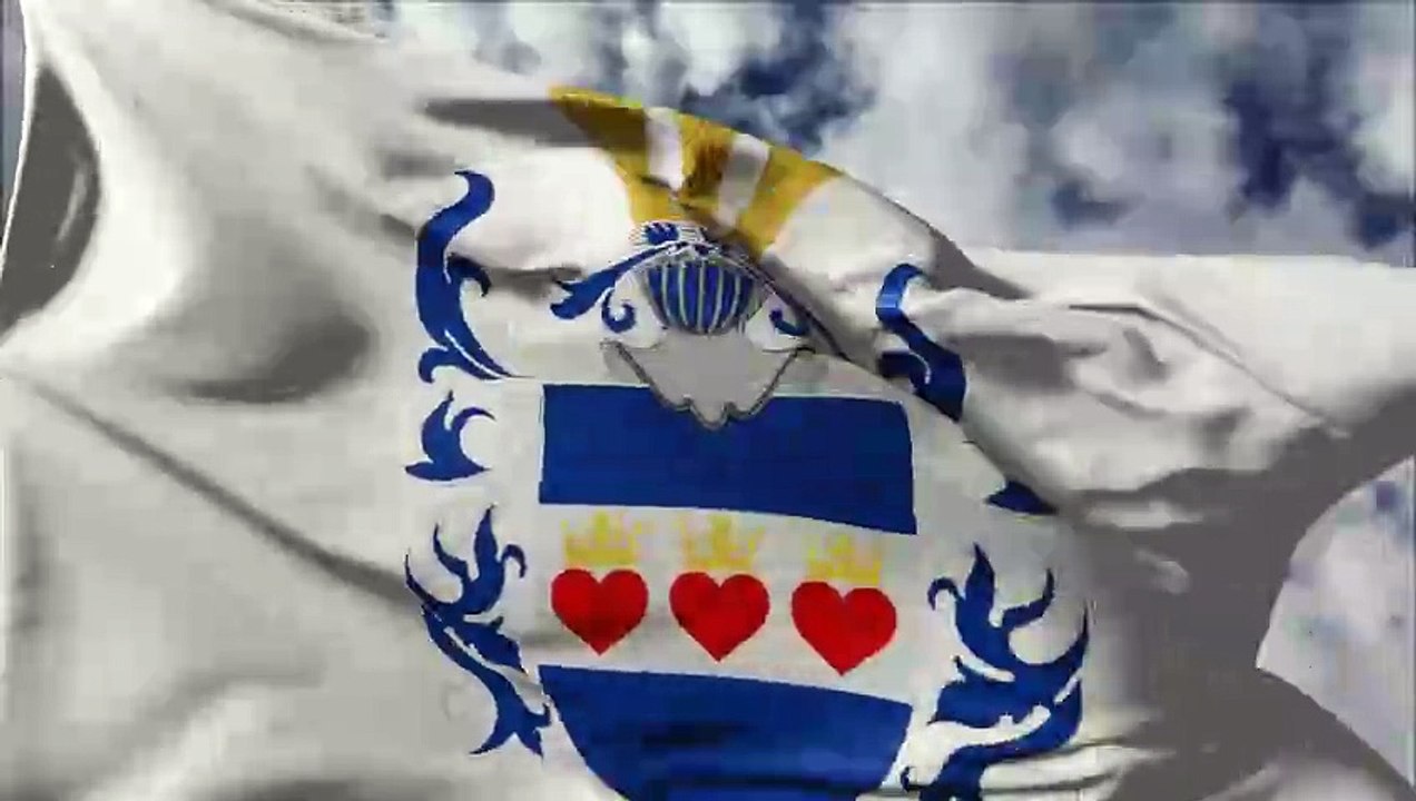 Flag of Halmstad