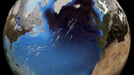 The Thermohaline Circulation - The Great Ocean Conveyor Belt