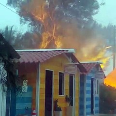 Reportan incendio en la Pig Beach de Puerto Progreso