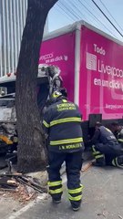 Choca conductor de camioneta de Liverpool contra un árbol, hay dos heridos