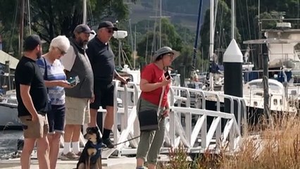 Century-old Tasmanian ferry Cartela partially sinks during restoration, but volunteers remain hopeful