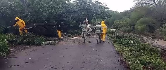 Ejército aplica Plan DN-III-E en municipios rurales de Nuevo León (VIDEO)