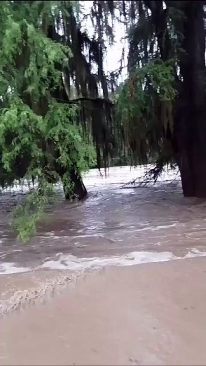 ¡Adiós vaquero! Restaurante Las Comadres es arrastrado por la corriente