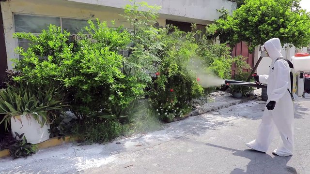 Escobedo implementa fumigación para combatir enfermedades transmitidas por mosquitos