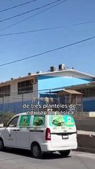 Aperturan nuevas escuelas en Los Cabos por exceso de demanda Educativa