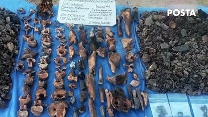 ¿Quién es Rubicela Gallegos? La víctima regia del Monstruo de Atizapán