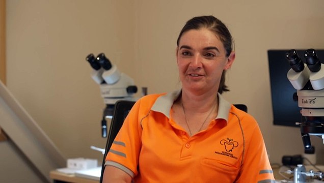 Tasmania’s largest bee pollinator adopts new technology to protect hives from Varroa mite threats