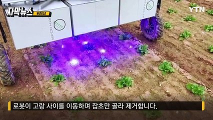 [자막뉴스] 챗GPT 뛰어넘는 '피지컬 AI'...사람 없이 이 정도까지? / YTN