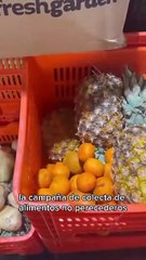 Súmate a la colecta Kilos por la Nutrición, te decimos cómo ayudar