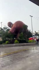 ¡Qué oso! Se vuela en Cuernavaca y desata risas (VIDEO)