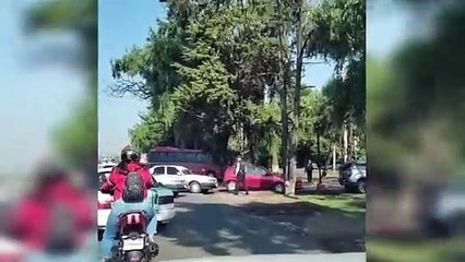 Fuertes lluvias causan caída de árboles y caos vial en la México-Toluca