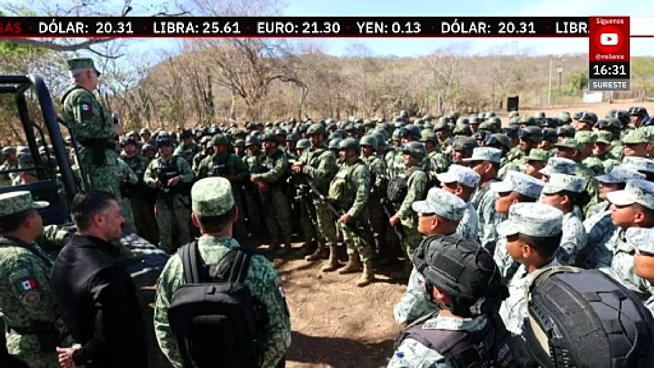 Autoridades desmantelan laboratorios clandestinos en municipios de Sinaloa