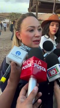 Hay insuficiencia de Ministerios Públicos: De la Garza