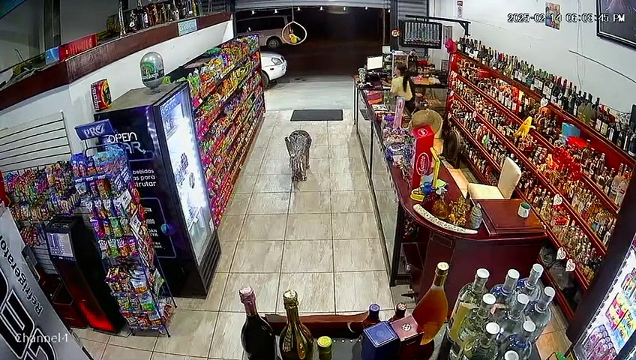 ext-Lanzan artefacto explosivo contra comercio en Ciudad Quesada-140225