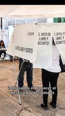 ¿Cuál es la función de un observador electoral? Te explicamos