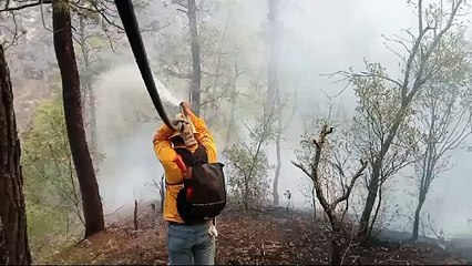 Colabora PC de Victoria en combate de incendio forestal en Cañón del Novillo
