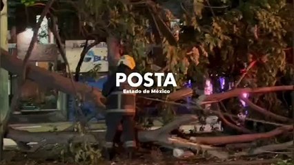 Lluvia, viento y caída de árboles en Cuautitlán Izcalli (VIDEO)