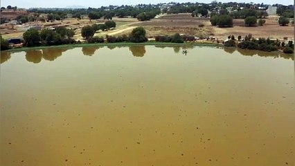 No encuentran al cocodrilo, suspenden búsqueda en Cuautitlán Izcalli (VIDEO)