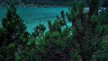 Nature 🏞️🌧️