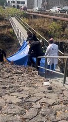 Hallan a hombre sin vida debajo del Puente de la Amistad en Tlalpan