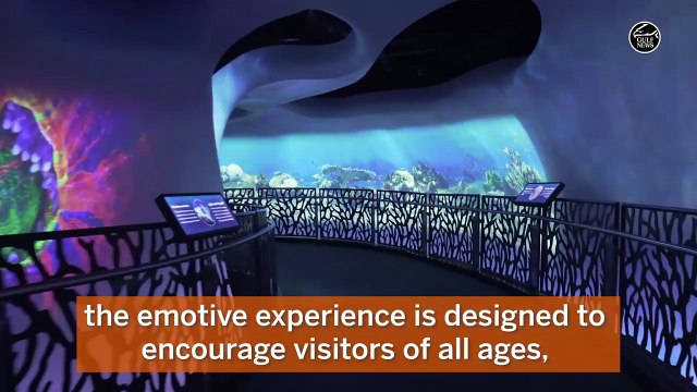 UAE residents, tourists can visit first Expo 2020 Dubai pavilion, Terra, from Friday onwards