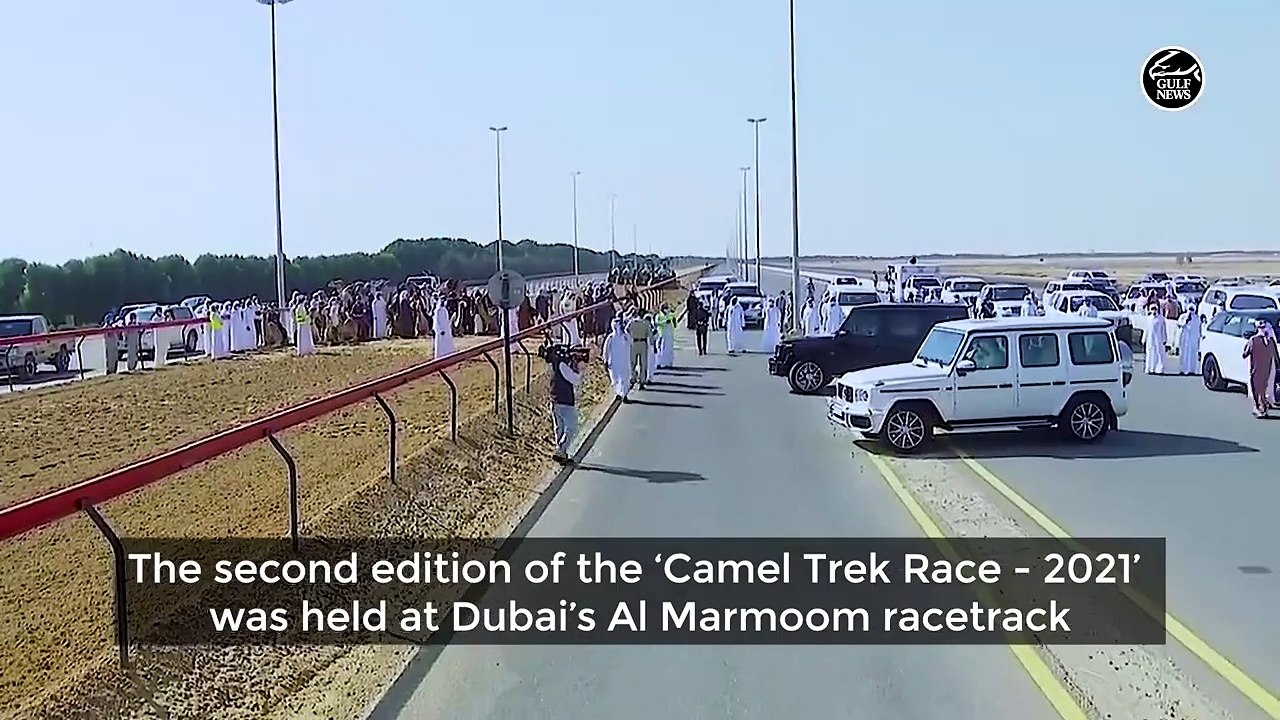 Sheikh Mohammed, Sheikh Hamdan watch camel race for expats in UAE
