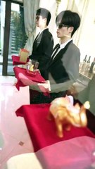 抖音热播新剧《全世界最爱我的她》上线啦！🎬