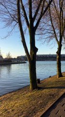 LES CANAUX entre Amsterdam et Zaandam Schans