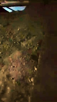 Balacera deja tres muertos en Jerez, Zacatecas (VIDEO)