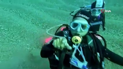 Denizlerin gizemli canlısı Antalya Körfezi'nde ilk kez görüntülendi