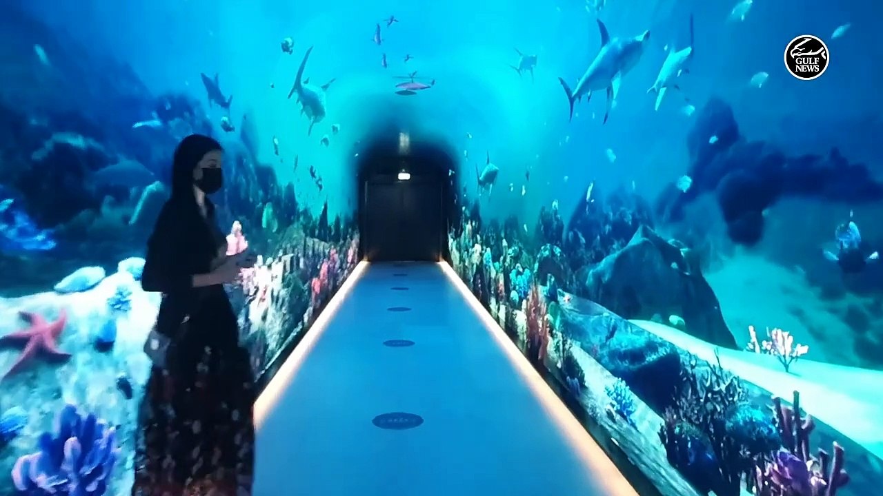 First look: The View Palm Jumeirah, Dubai's new observation deck | UAE news