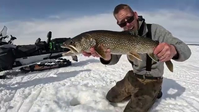 4 Days Fishing _ Camping in Alaska - Lake Trout Catch _ Cook (Catching Every Fish in Alaska)(360P)